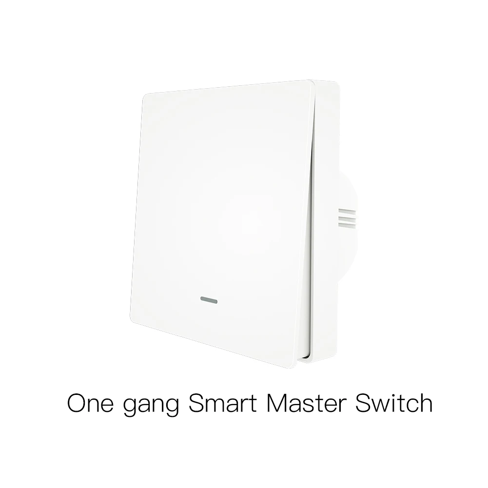 Variant: 1 Gang Master Switch