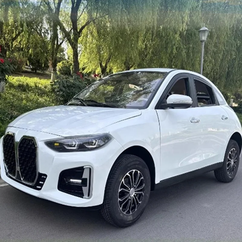 SXL  Factory wholesale passenger and freight electric four-wheeler 3000W 5000W closed four-wheel low-speed car with steering whe