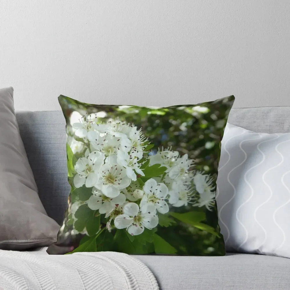 Hawthorn blossoms Throw Pillow Pillowcases For Pillows Luxury Pillow Cover Pillow Decor Sitting Cushion