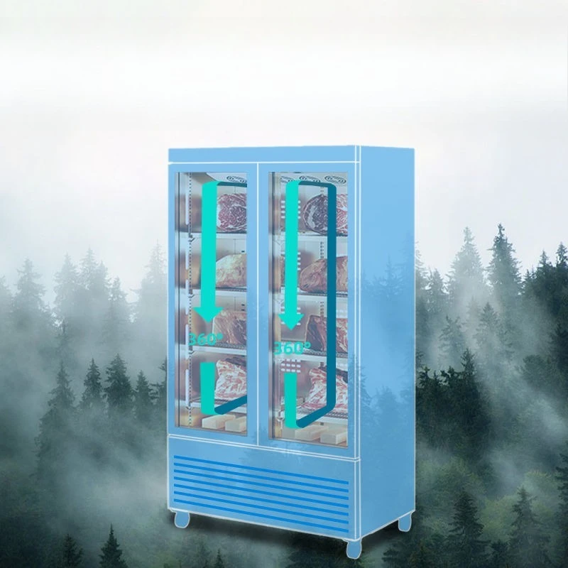 

Beef maturation cabinet Dry steak cabinet Constant temperature air-cooled refrigerated safe