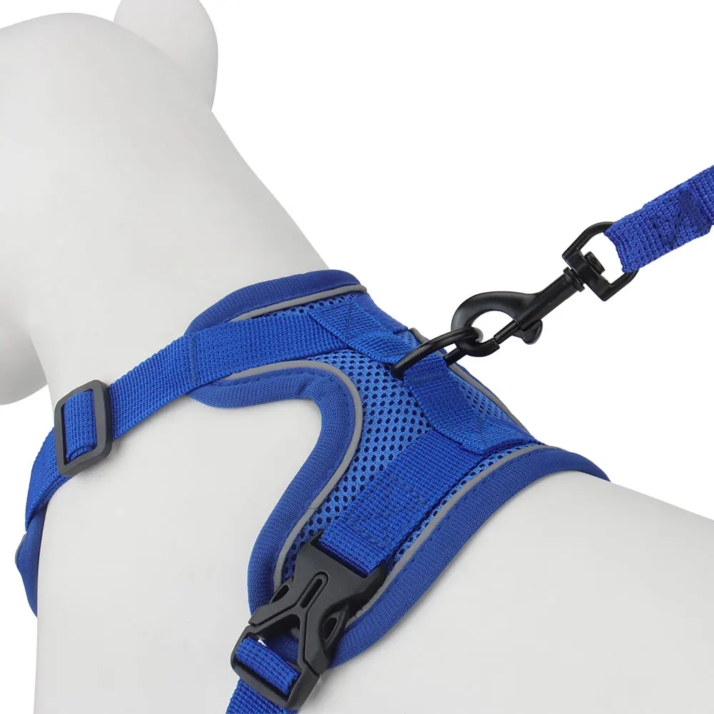 Thumbnail 2 - #72 Best Puppy Harnesses to Buy In 2026