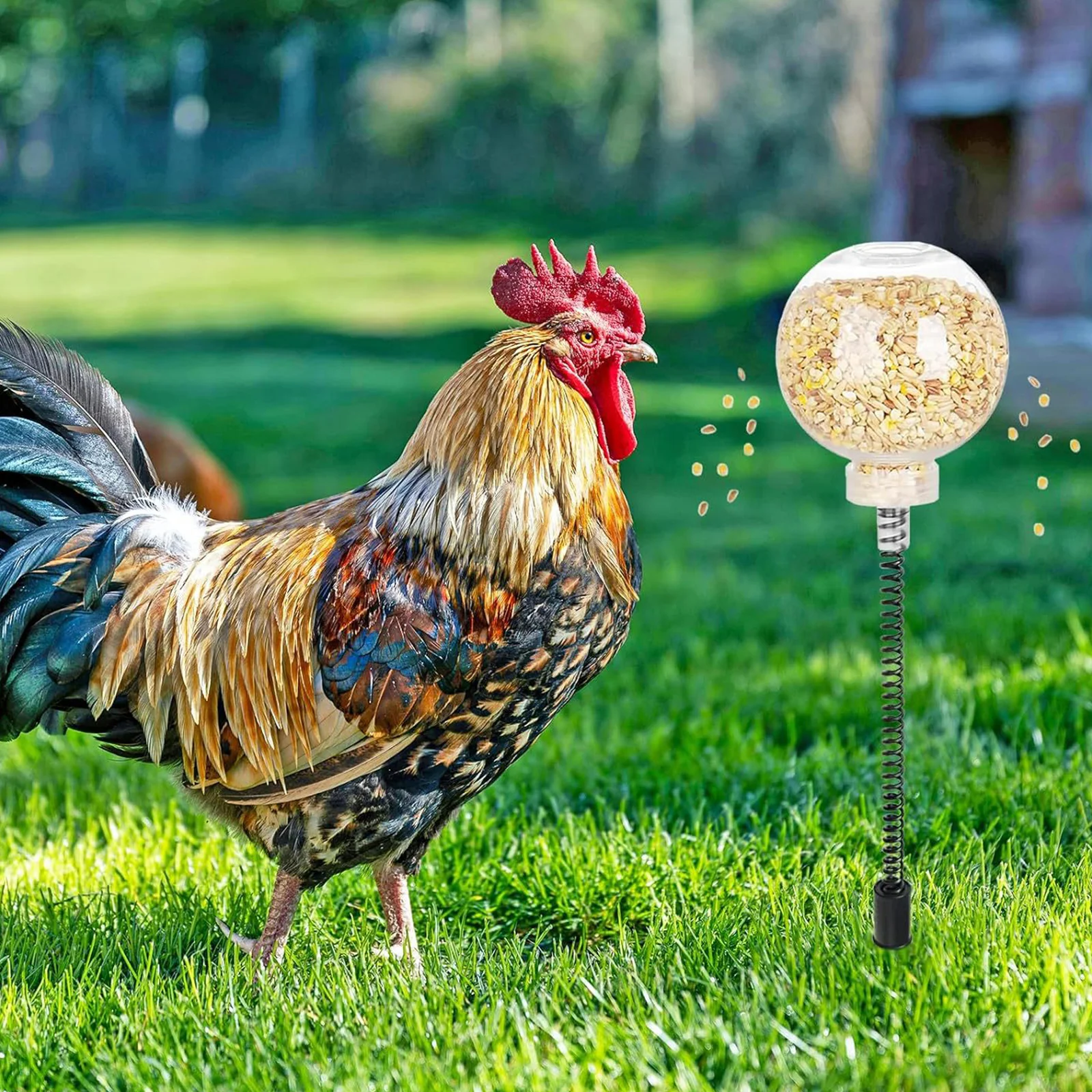 

4Pcs Chicken Enrichment Feeder: Slow Release Dispenser with Hanging Design for Natural Foraging - Wobble Treat Ball for Coop