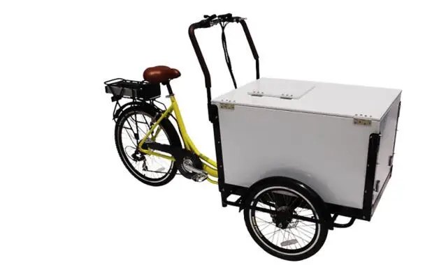 Front Load Tricycle Ice Cream Bike for sales