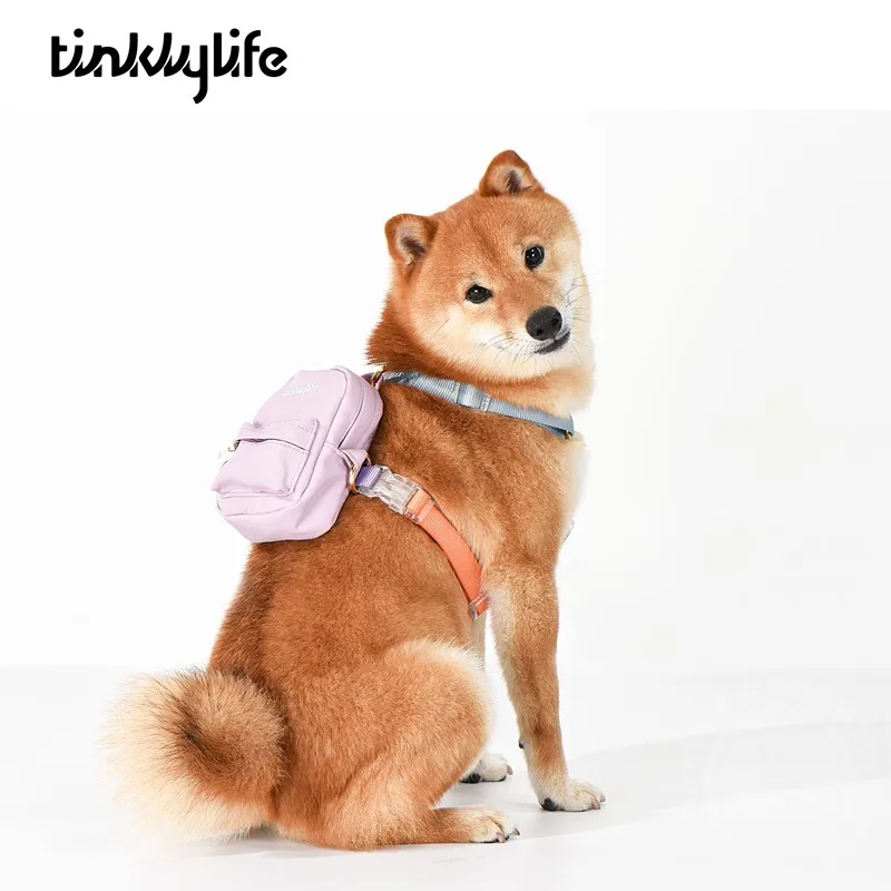 People and pets share mini backpacks, pet backpacks, and macaroon dogs go out with school bags.