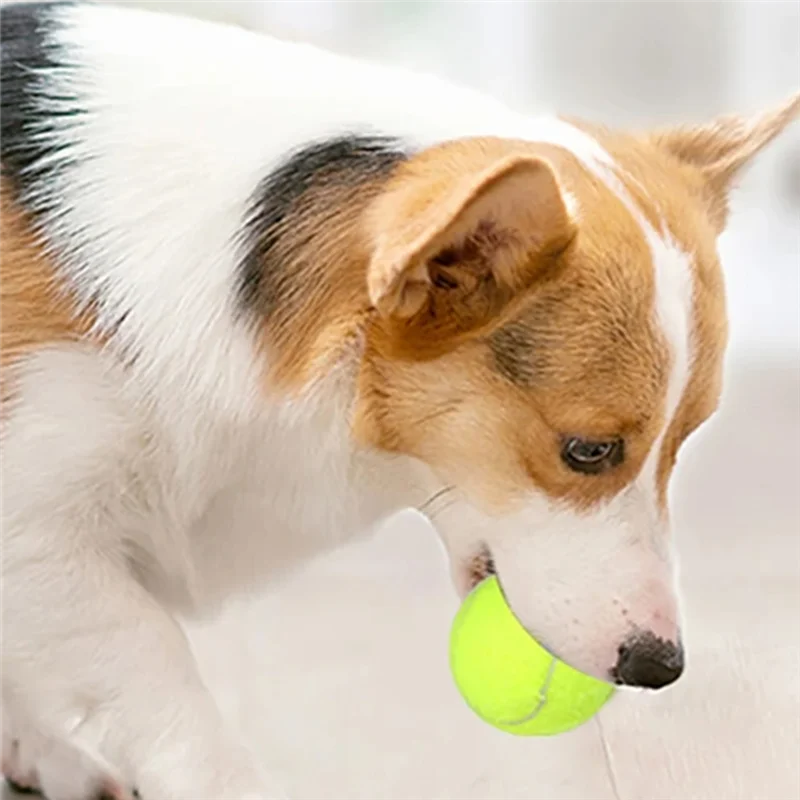 เครื่องยิงลูกเทนนิสอัตโนมัติสำหรับสุนัข BAAG-Fun Interactive Machine แบบชาร์จไฟได้ สำหรับสุนัขไล่ลูกบอล