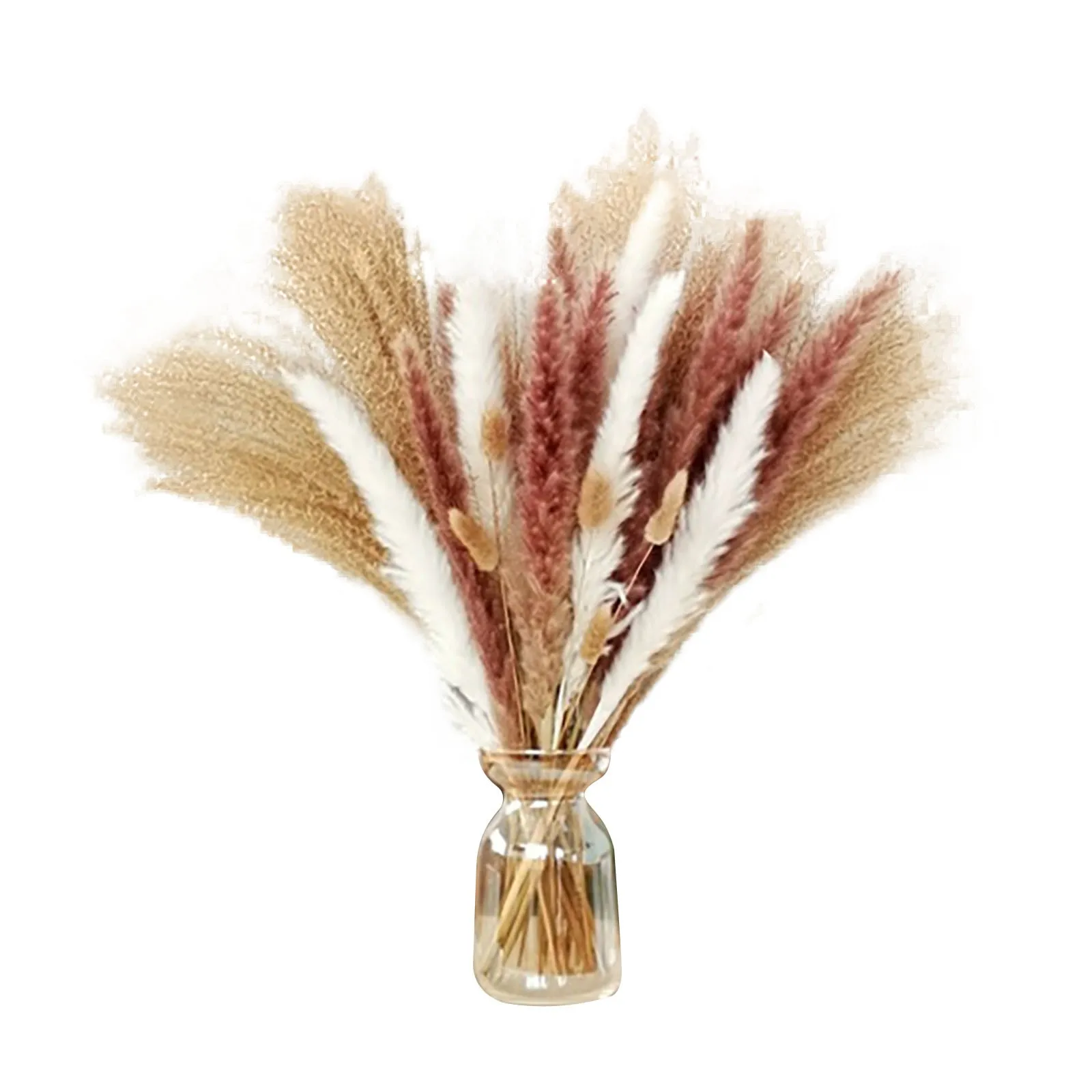 

30 pcs Pampas Grass Natural Dried Pampas Grass Plants for Flower Arrangements Boho Home Style Wedding Living Room Decoration