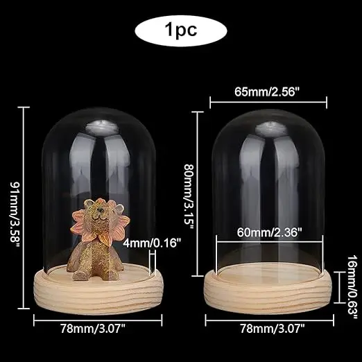10 stks Cloche Bell Jar Display Dome met Kurk Basis 8 ml Mini Glazen Flessen Dome Decoratieve Potten Vitrine voor Bloem Opslag
