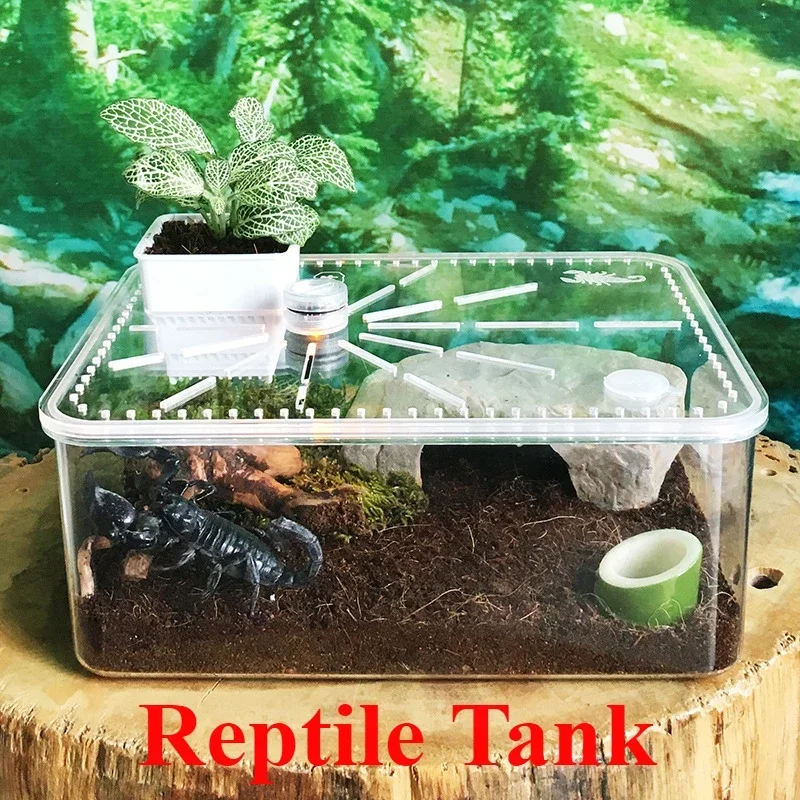 Transparent Reptile Breeding Box with LED Light Acrylic Desktop Ecological Feeding Boxes Anti-escape Terrarium for Turtle Cage