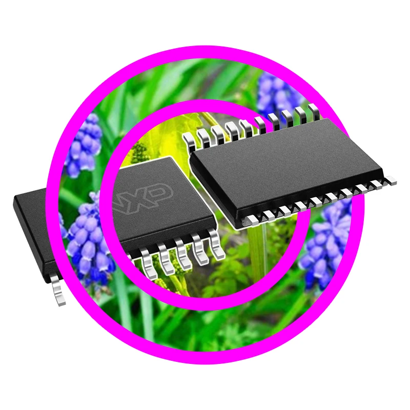 

(1PCS) LPC824M201JDH20J LPC812M101JDH20FP LPC812M101JDH20J S9S08SG4E2MTJ MC9S08SH8CTJ MC9S08PB16VTJ MC9S08PB8MTJ S9S08EL32F1MTJ