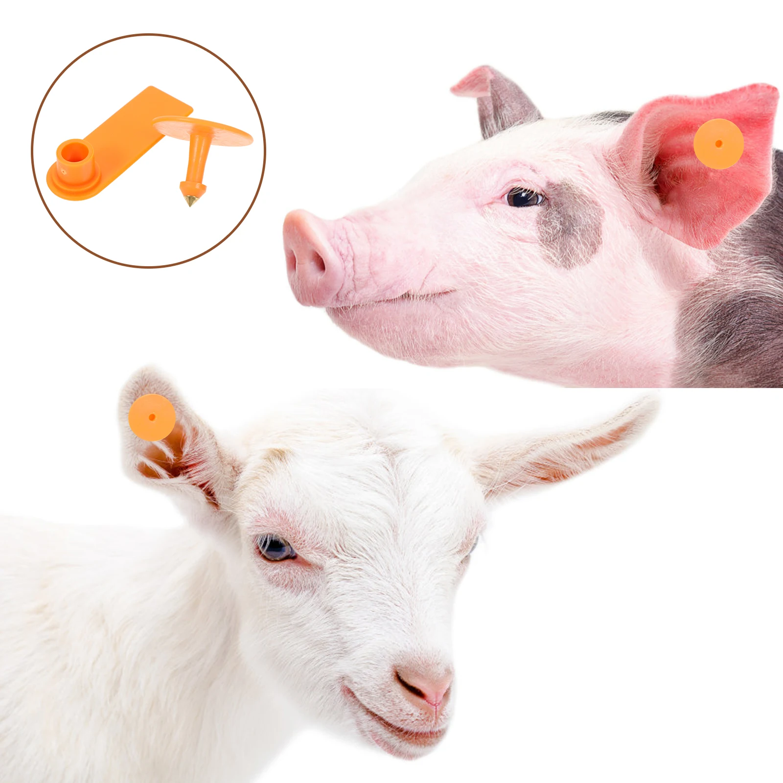 100 set di etichette per animali con etichette auricolari vuote per identificazione di bovini di mucca per etichette di vitello di bestiame