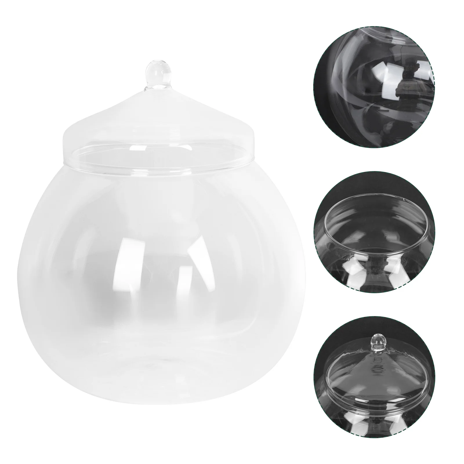 

1Set Ecological Moss Plant Bottle Glass DIY Landscape Container Clear Glass Micro Landscape Vase Decorative Home Office Decor