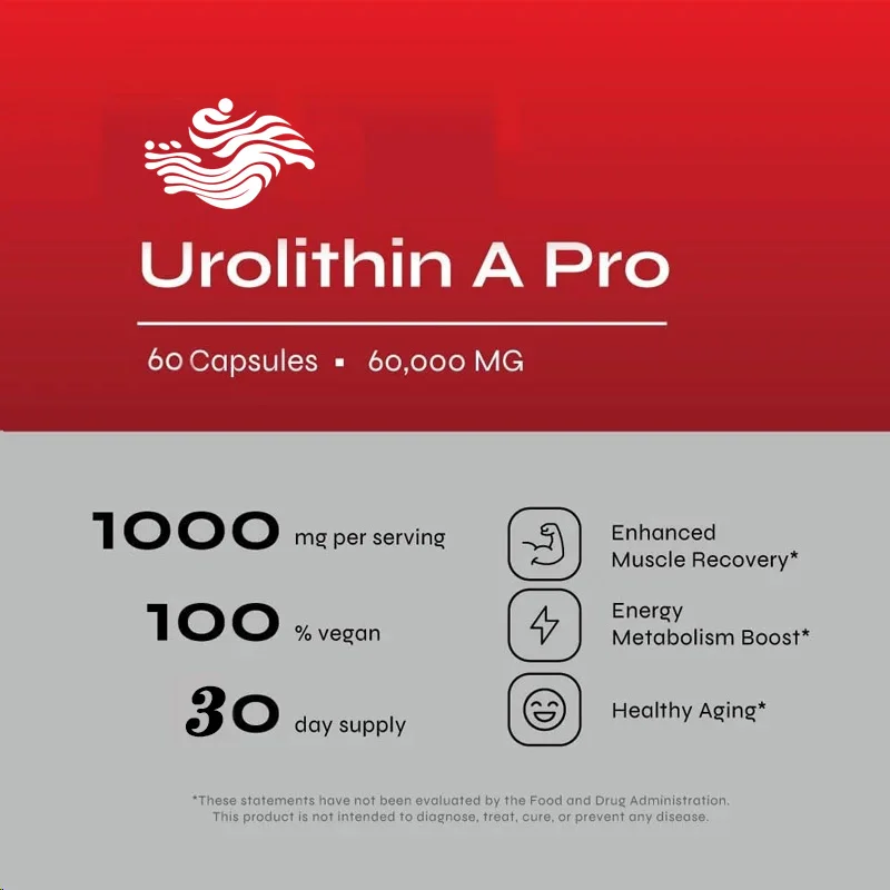 Urolithine A Capsules, 1000 mg, 60 Capsules pour Cellulaire Avancée et Vitalité, Y Vieillissement, Poudre Ultrafine 60000 mg