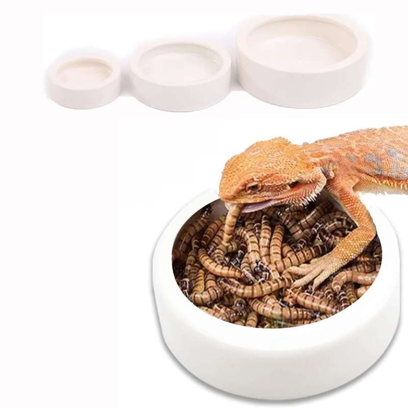 #25 Compare Reptile Water Bowls Before You Buy