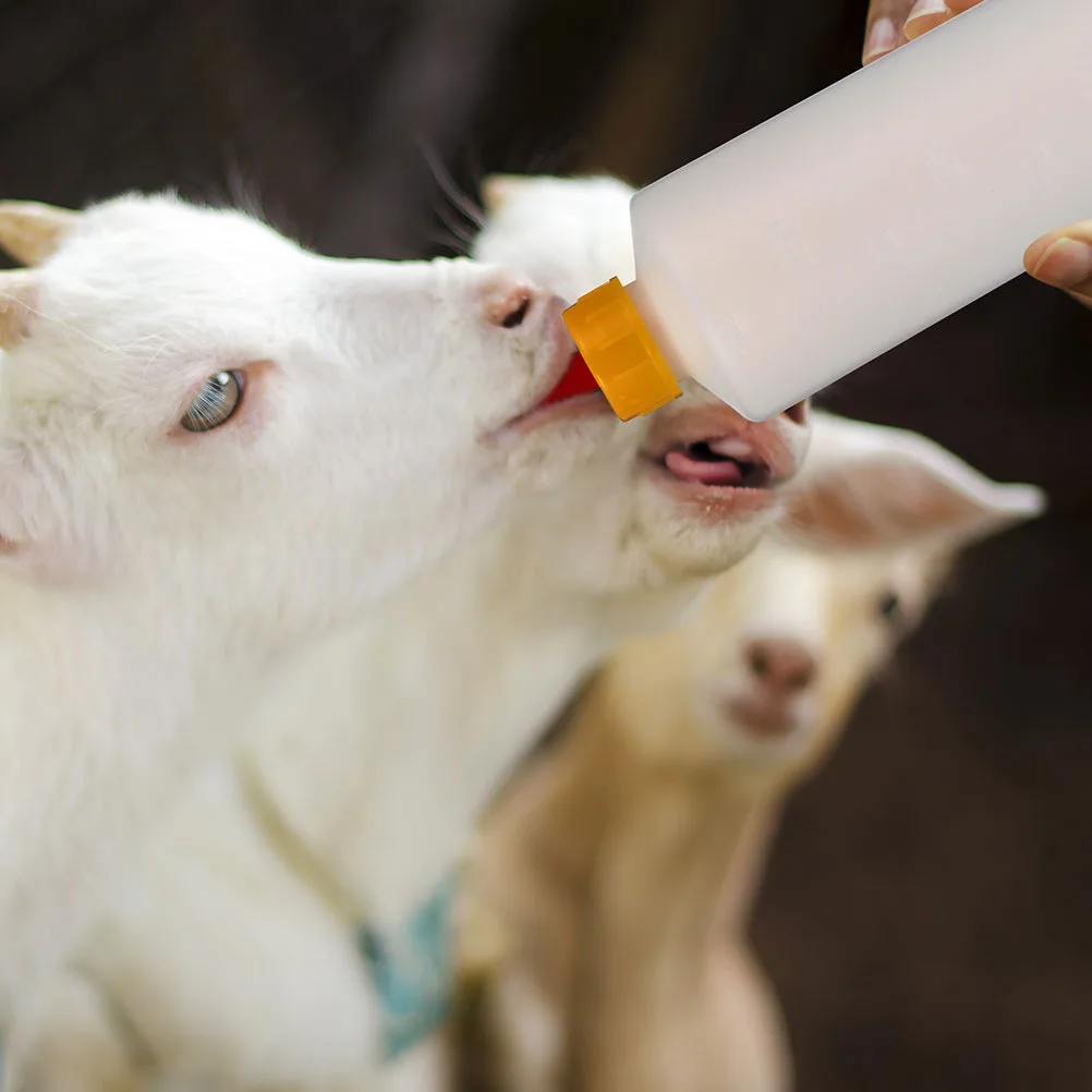 

2Sets Small Animal Milk Bottles Multifunctional Newborn Lamb Feeding Bottle for Calves Piglets Goats Sturdy Portable Farmhouse