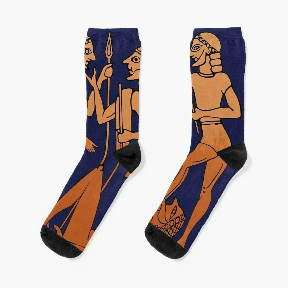 Achilles releases Hector's body to Priam Socks Sports tennis floral Socks For Women Men's