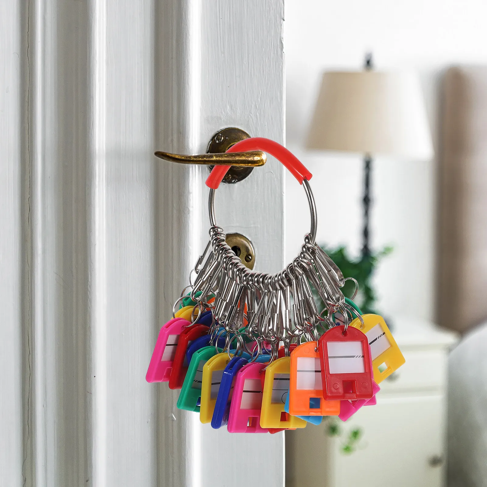 1Set Creative Key Storage Plate Organizer Made of Iron Plastic with Colorful Tags for Keys Bracelets Easy Identification