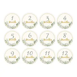 12PCS Baby Photography Birthday Cards 1-12 mesi Card Baby Milestone bambini fotografia puntelli festa di compleanno decorazione regalo