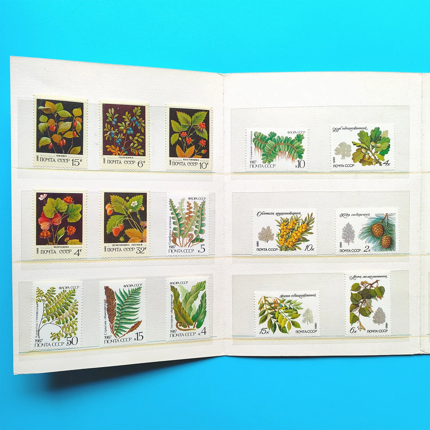Poststempel der Sowjetunion, Postmarken, seltene Tiere und Pflanzen, 7 Sets, 32 neue, postversandkostenfreie, sammelbare Briefmarken, Material für Scrapbooking – Detail 2