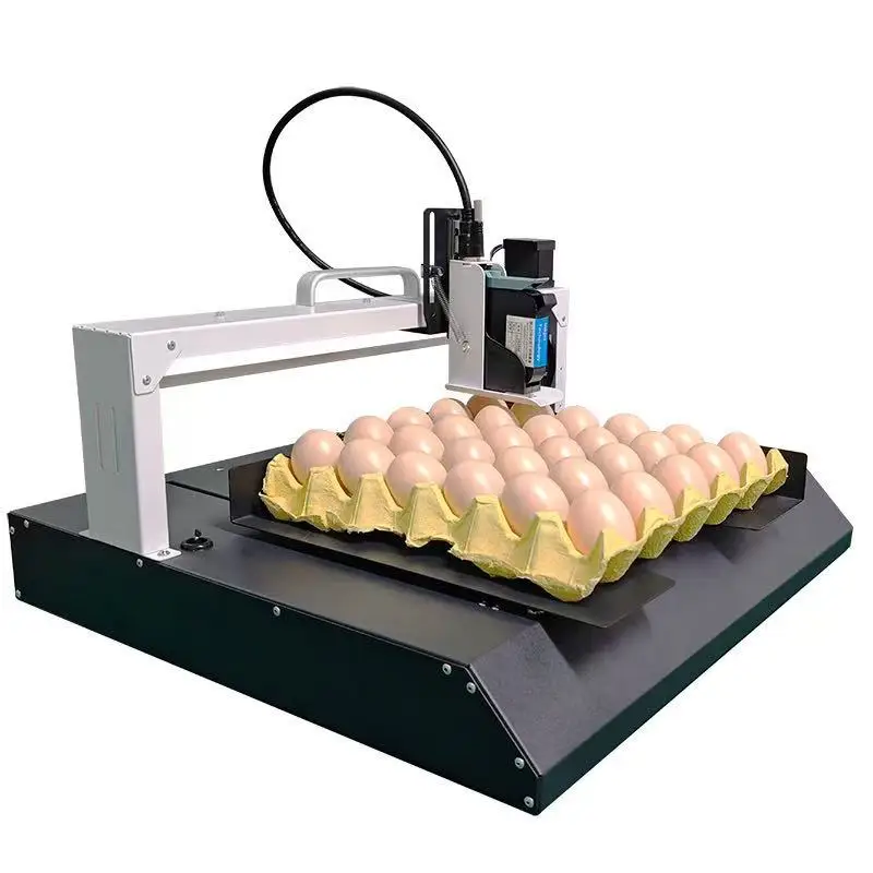 Yaomatec Single-Head Automatic Egg Printer  High-Speed Coding for Egg Shell Date Logo Edible Ink for Chicken Egg Branding