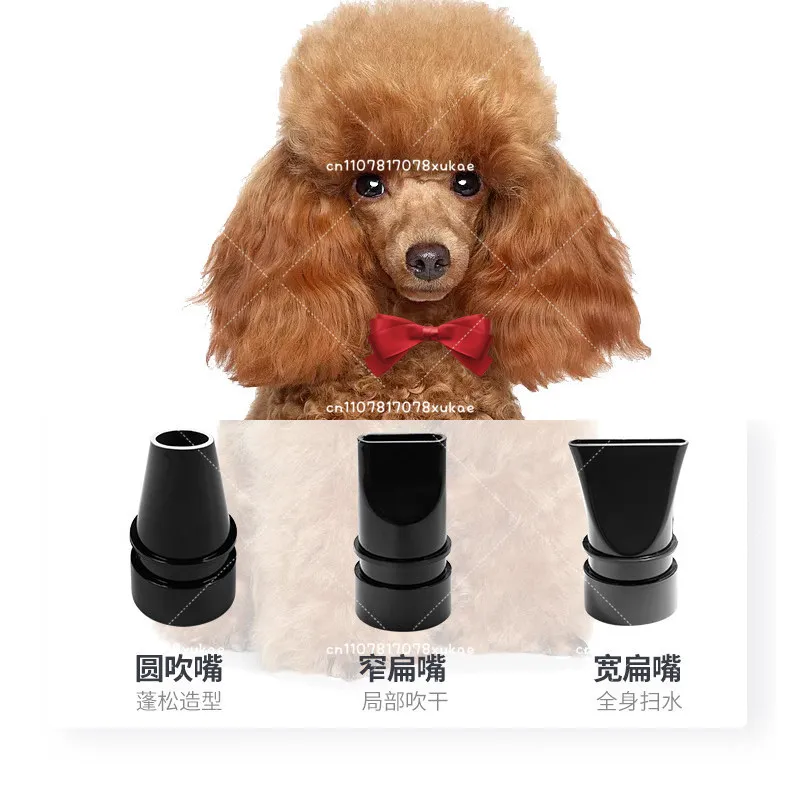 Pet Single Motor Water Blower Dog Hair Dryer Dog Cat Hair Blower Teddy BS-2400 220V