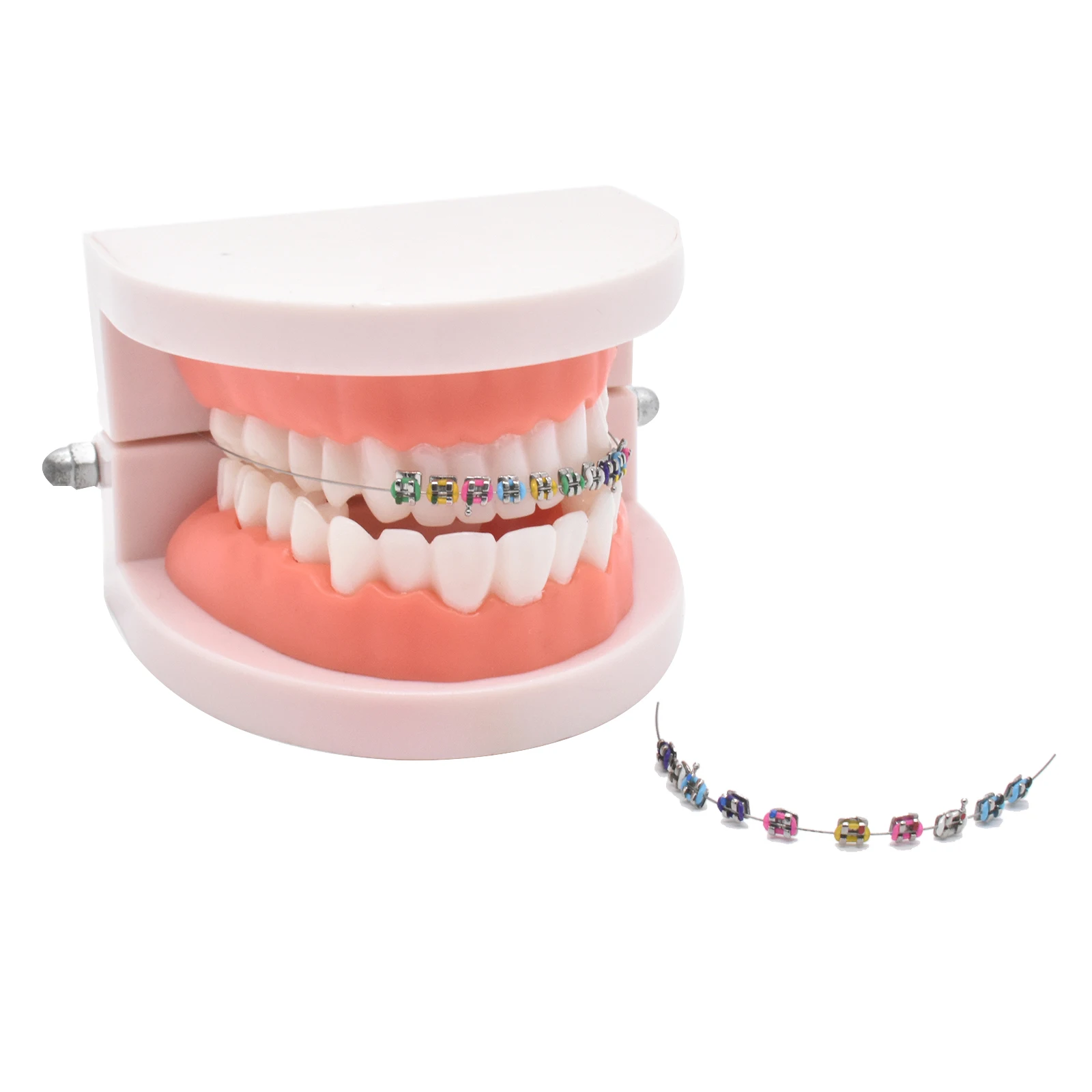 1Pack Temporary Tooth Decoration with Metal Wires,Metal Bracket and Orthodontic Ligature Ties,Practice Props for Dental Students