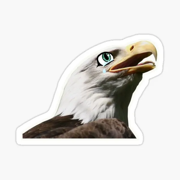 

Автомобильная наклейка Eagle для склеивания 17 см aa2