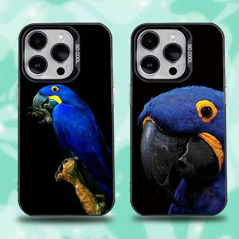 

Parrot Phone Case For iPhone 16,15,14,13,12,11,Pro,Max,Plus,Mini,XS,SE Anti Fall Black Matte Hard Bumper