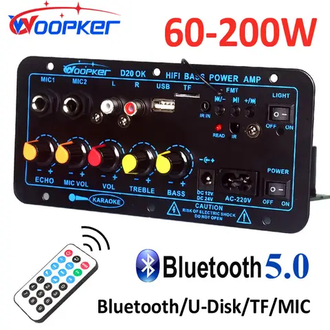 WOOPKER D20 블루투스 앰프 보드, Hifi 서브우퍼 앰프 모듈, 듀얼 마이크 지지대, USB FM TF, DIY 가정용, 60-200W