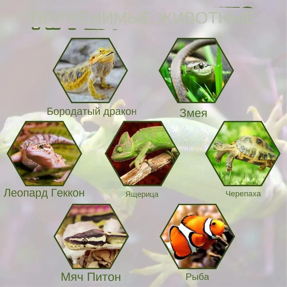 هيرميت كراب مخبأ منزل تسلق الكهف مع خيارات متعددة الحجم مأوى ديكور صغير للمواطن والمناظر الطبيعية تررم