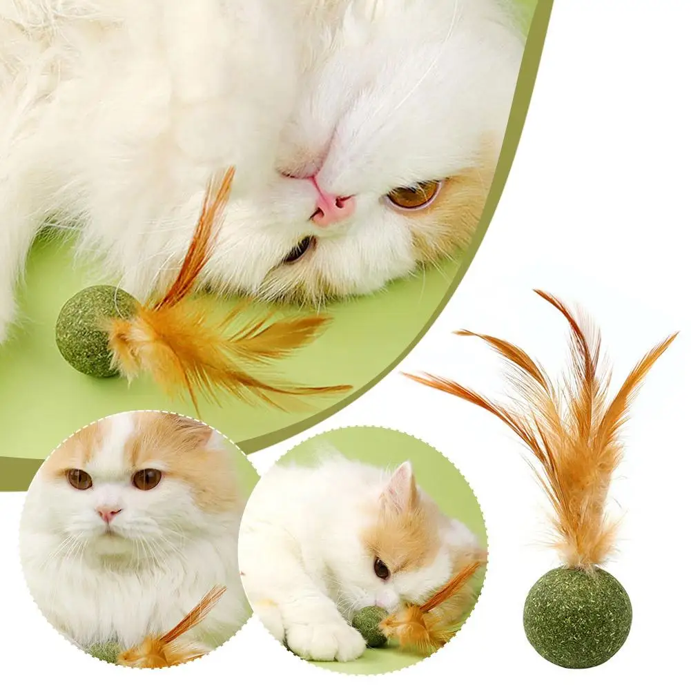 Pet Catnip Toys Cat Mint Ball Edible Catnip Ball Safety Healthy Cat Mint Cats Home Chasing Game Toy Products Clean Teeth