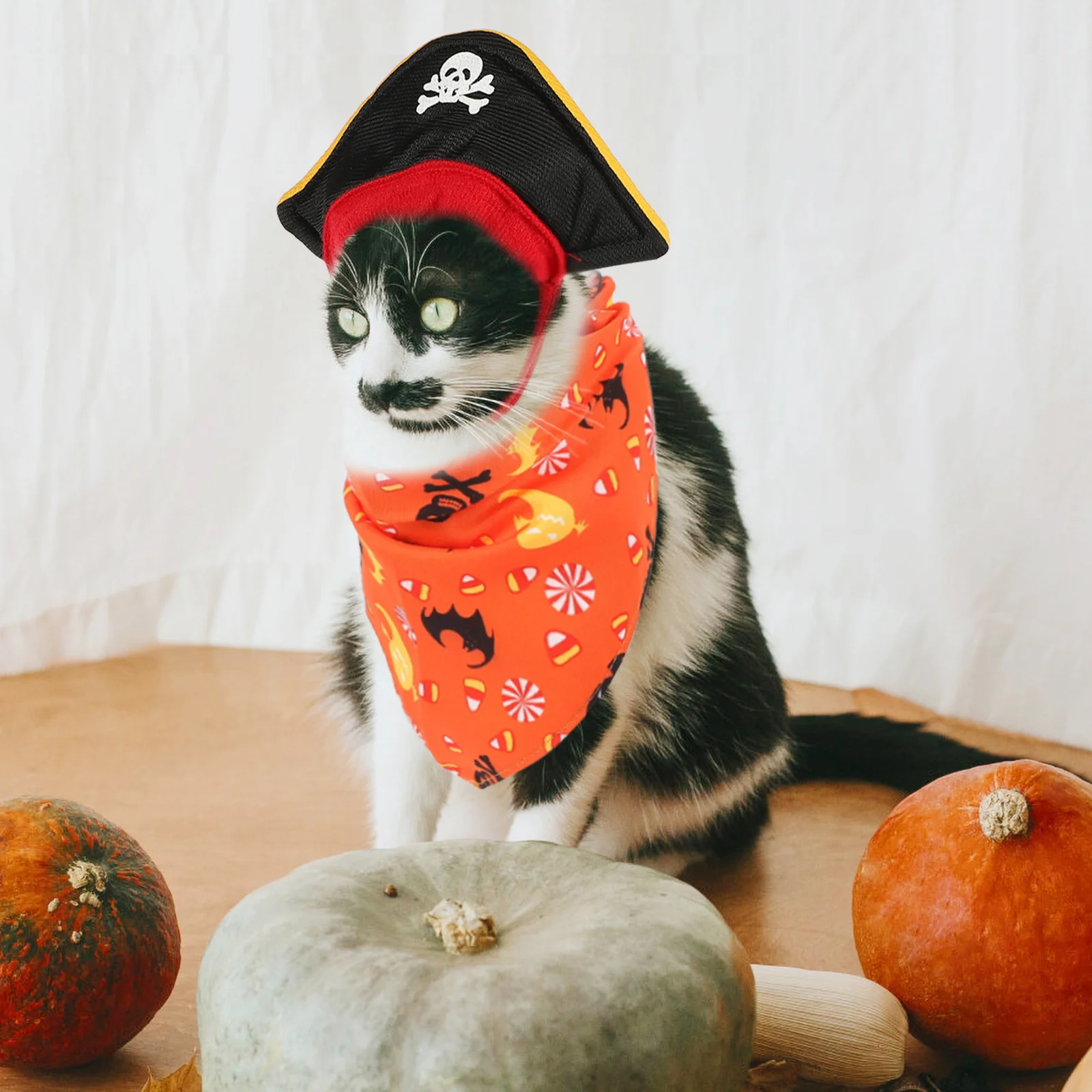 Halloween Pirate Hat Triangle Bandana Set Cat Pumpkin Saliva Dog DIY Clothing Decor Costumes Pet Kit Plush Cosplay