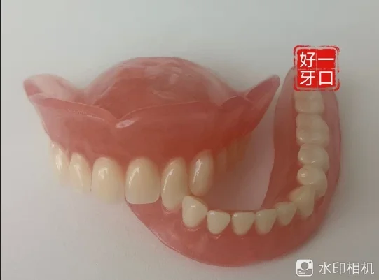 

Full Dentures Elderly Dentures Oral Display Care Dentistry Elderly Model Denture Activity Simulation Denture Model