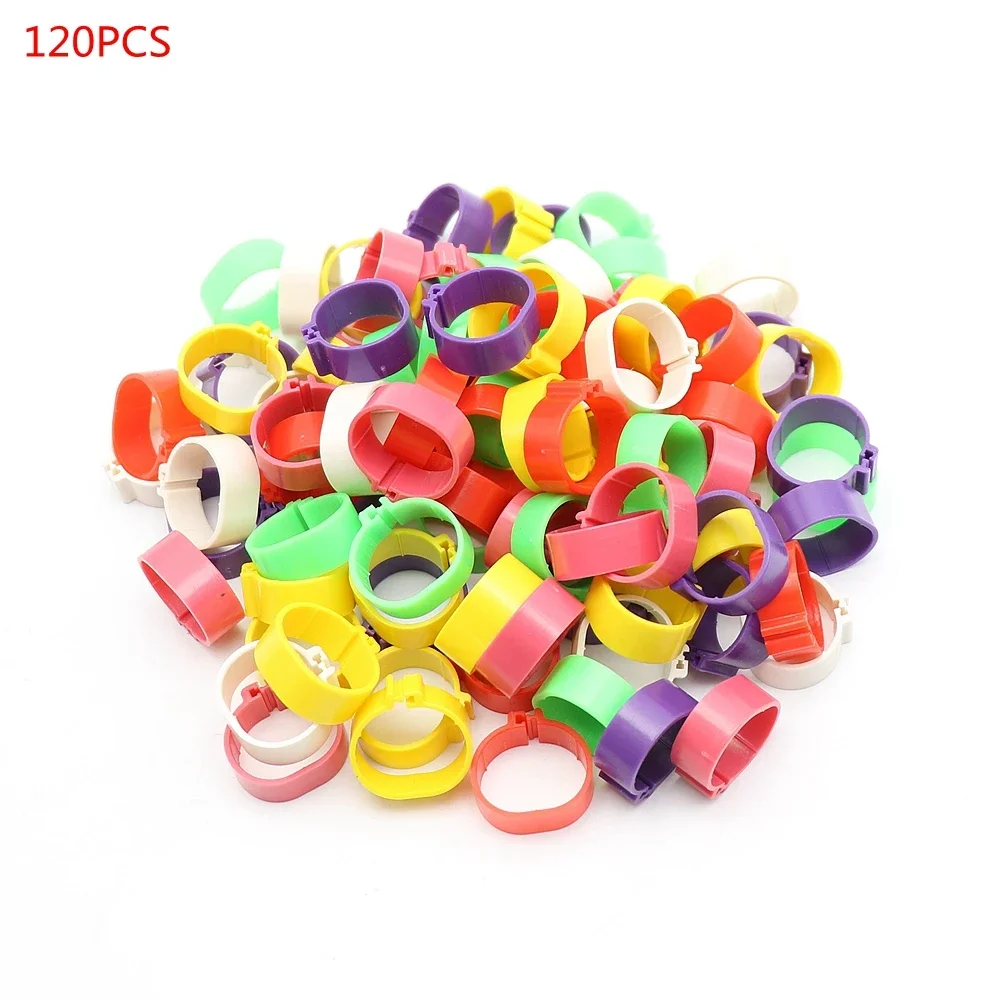 

120Pcs 16mm Poultry Foot Ring Chicken Duck Goose Birds Feeding Supplies 6Colors