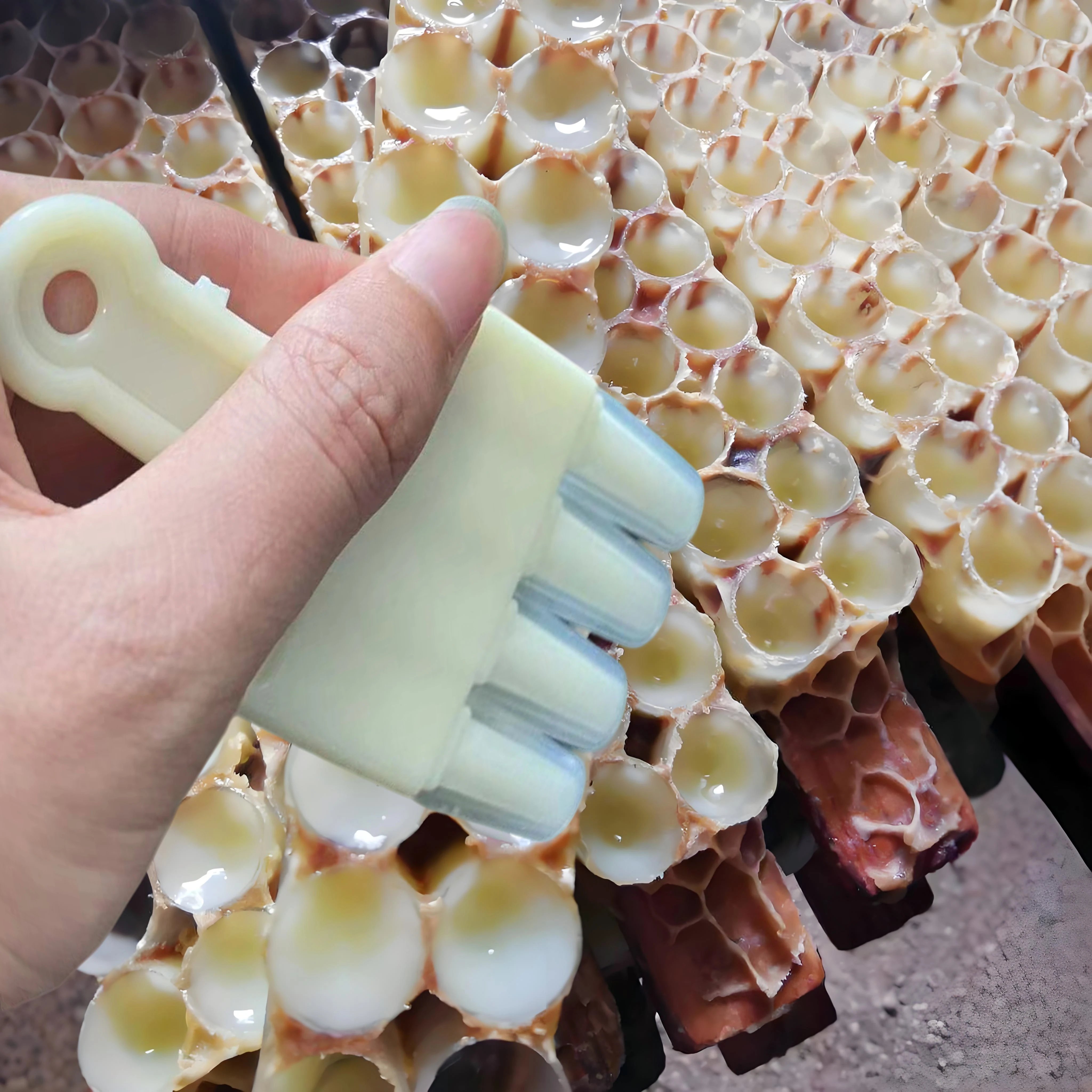 3Combs 4 8 9 Combs Transferring Remove Royal Jelly Pen Shovel With Silicone Spatula Head Tip Scraper Squeegee Bee Milk Collector