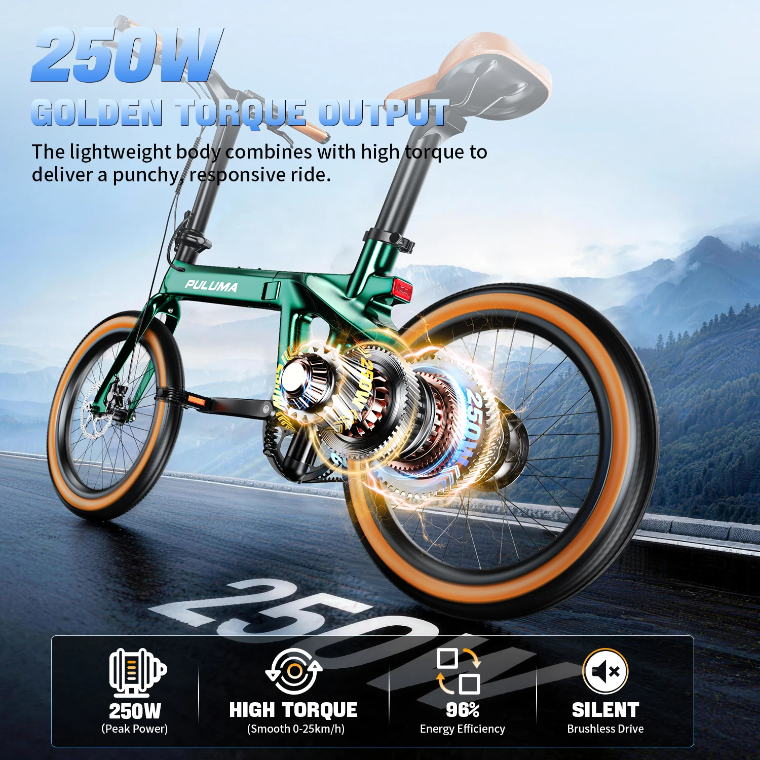 PULUMA PT20 Carbonfaser-Elektrofahrrad 350W Motor 36V7AH Hochleistungsakku 20X2,0 Zoll Reifen Hydraulische Bremsen Faltbares E-Bike – Detail 2