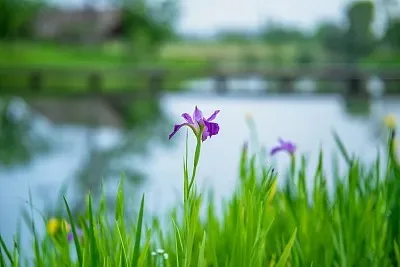 

Металлический комплект для модернизации радиоуправляемых машинок: передний и задний мосты, приводной вал. Подходит для радиоуправляемых моделей MN 1/12 Tank 300, MN82, MN78. Аксессуары для радиоуправляемых машинок.