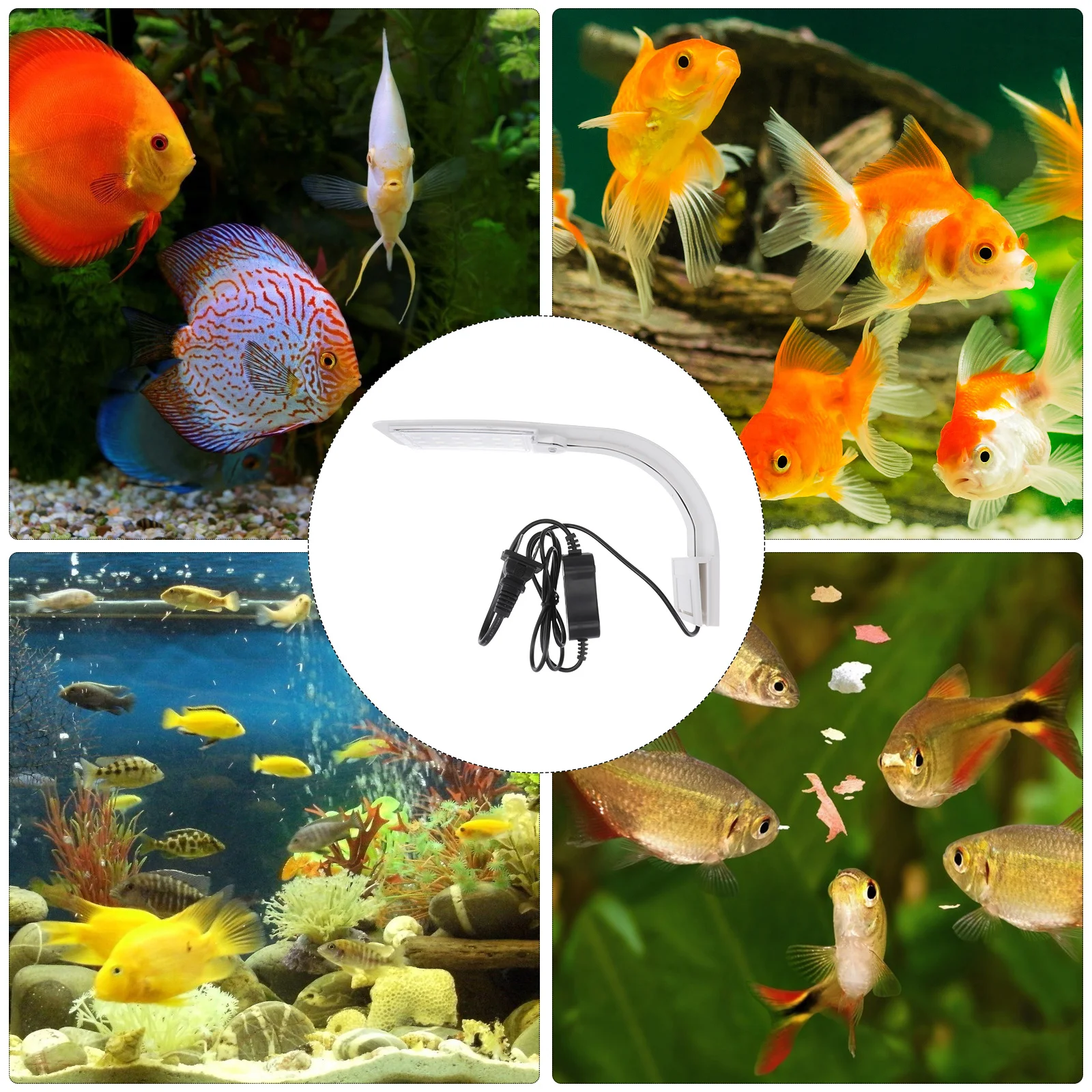 

Led Aquarium Light Blue White For Fish Tank Plants Growth High Brightness Low Power Long Lifespan Waterproof