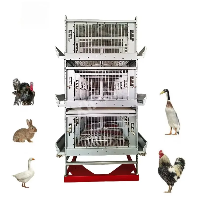 New Condition Automatic Poultry Farming System for Chickens Ducks Geese Metal Chicken Coop and Cages 1 Year Warranty