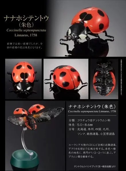 Genuine Gacha Scale Model, Simulação Cognitiva Biológica, Figura de Ação Sete Manchadas Lady Beetle, Brinquedos Japoneses