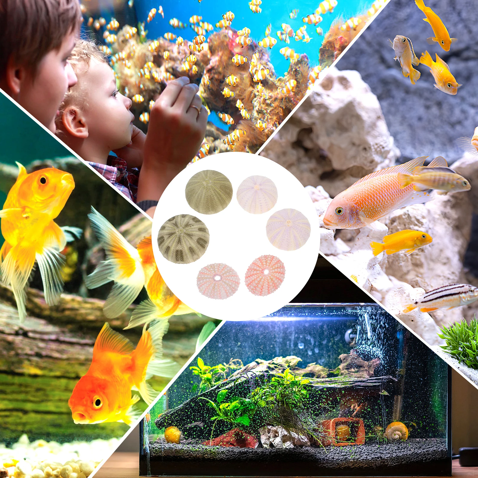 

6 Pcs Beads Aquarium Decoration Ornament Paper Feeder Tank Small Sea Urchins Decorations for Fish
