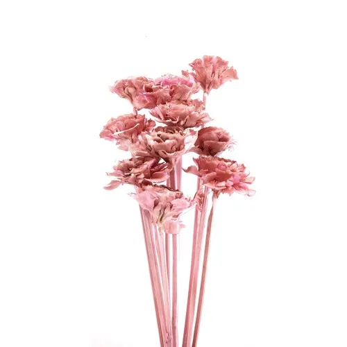 Palm Cedar Rose Pink 10 Branch