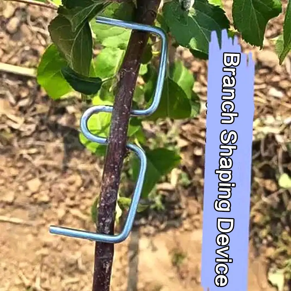 10Pcs M-Shaped Fruit Tree Branch Puller Shape Fixator Metal Branch Shaping Device Heavy-Duty Branch Bends Tree Branch Bender