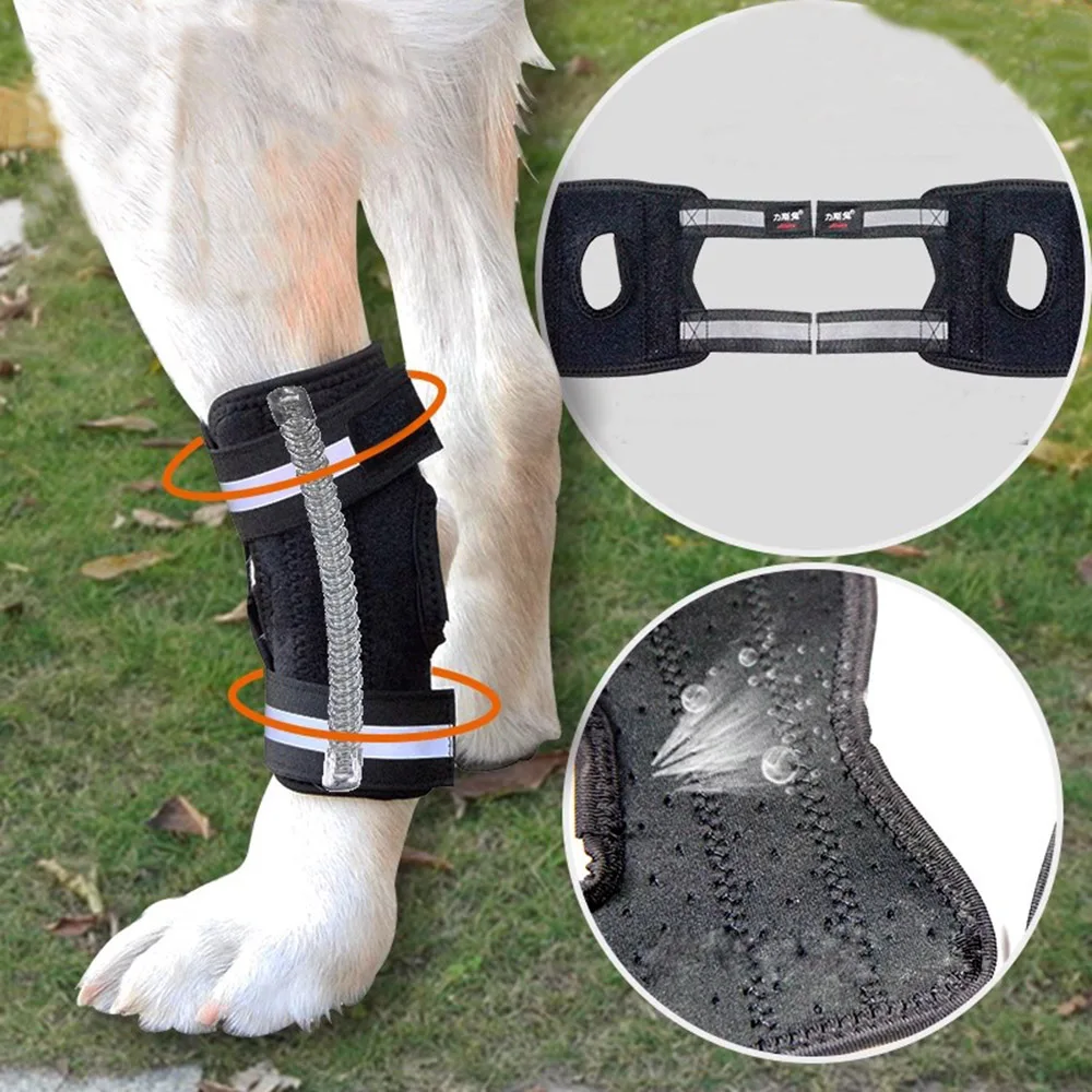 

Dog Fracture Fixation Splint Pet Dog Joint Protection Sleeve Hind Leg Weakness Brace Arthritis Auxiliary With Short