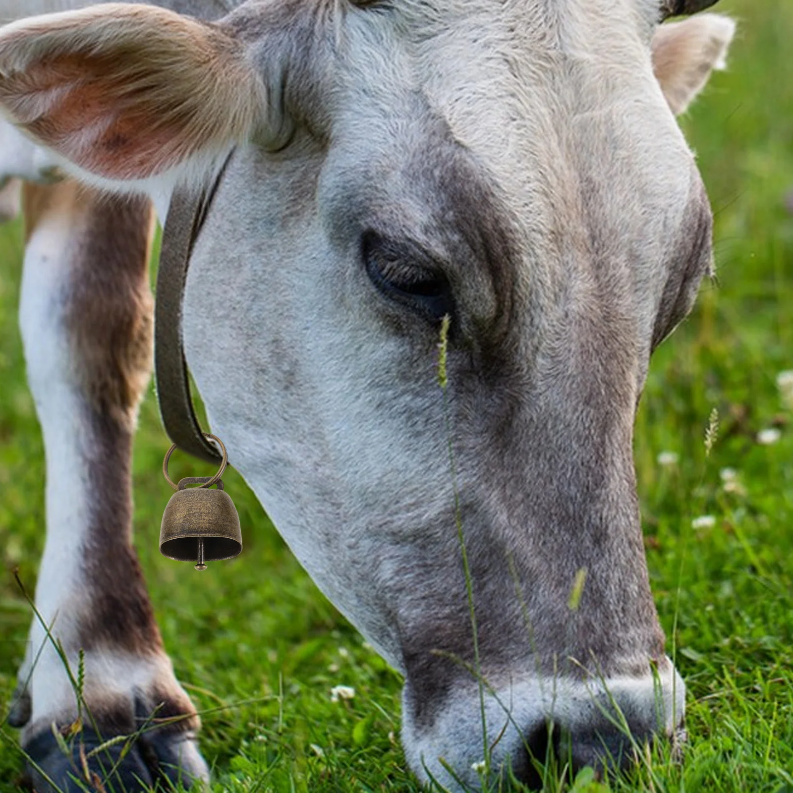 

10Pcs Rustic Metal Cowbells Crisp Sound Handheld Cowbell for Celebrations Party Favors Garden Chimes Farm Grazing Pet Safety