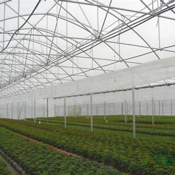 2025 대형 온실 텐트 키트 (정원 식물 재배용, 농업용 완벽한 농업용 온실 제품)