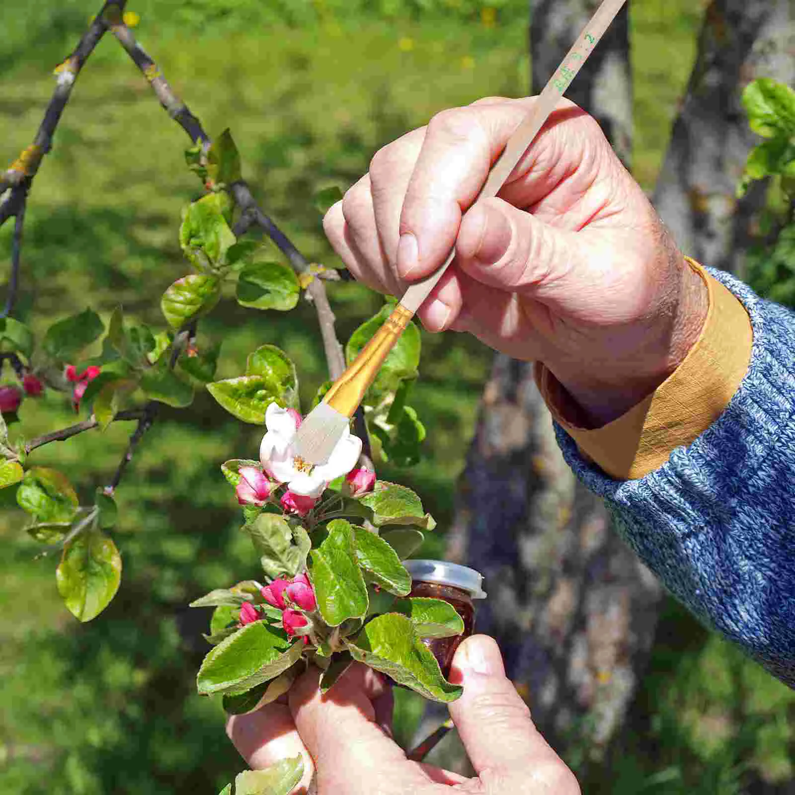 Craie artificielle pour l'extérieur, outil de jardinière d'ampoule de voyage, arbre fruitier en bois par inateur, 8 pièces