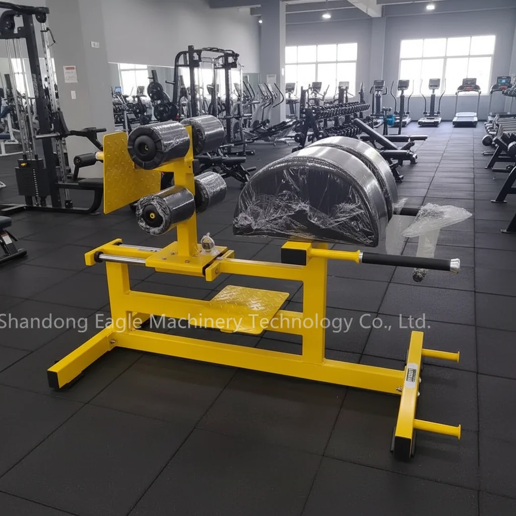 87 Commercial Gym Use  Fitness Equipment Fitness Strength  Back Extens Roman Chair