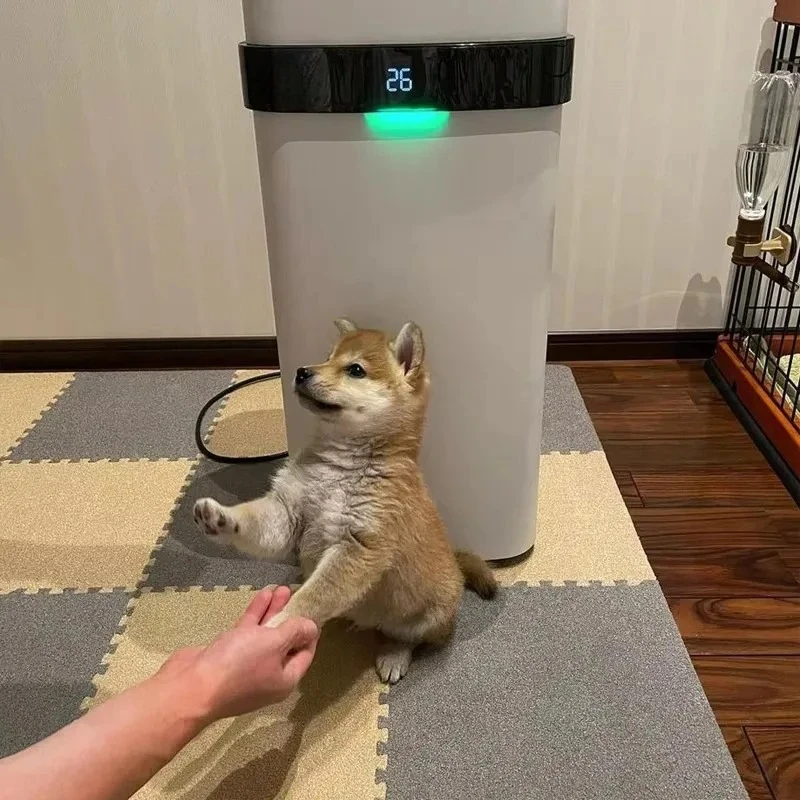 Strong Purification Reusable Filter Air Purifier Pet Room Air Cleaning