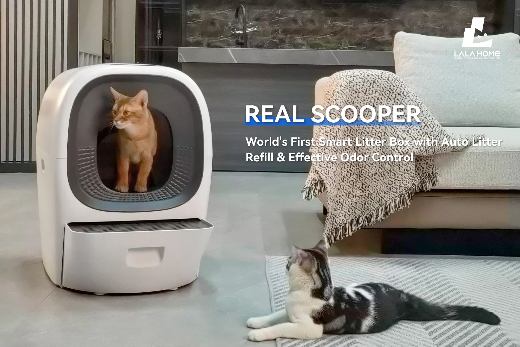 Cat Box Automatically Adds Cat  Smart Cat Toilet Induction Fully Enclosed Deodorized