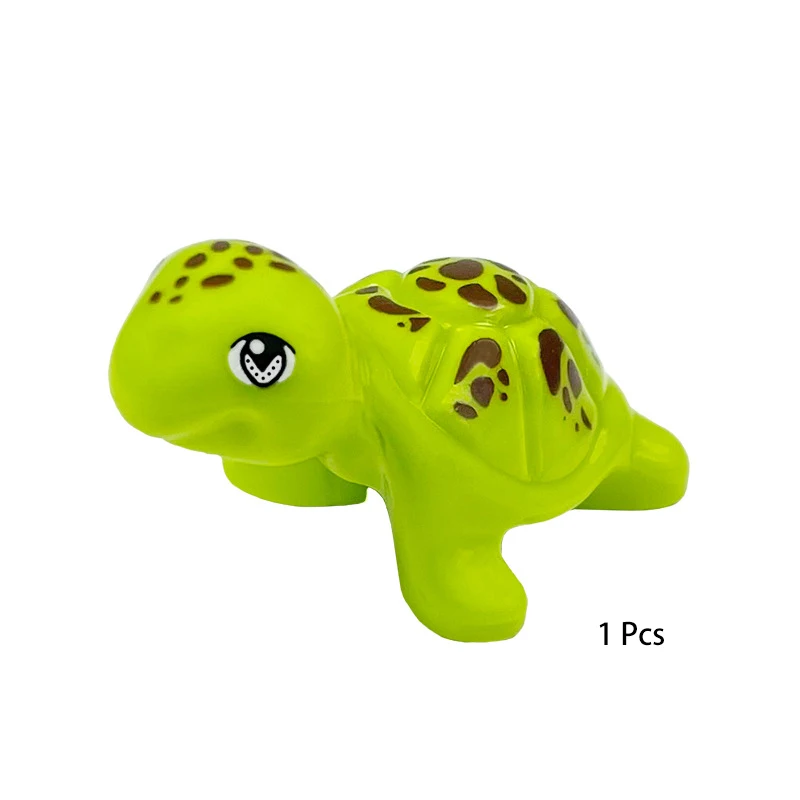 tortoise